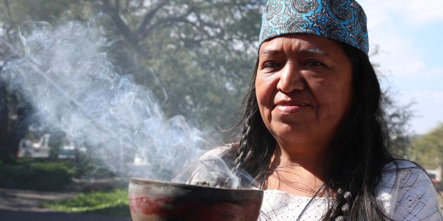 Día Mundial de la Medicina Tradicional