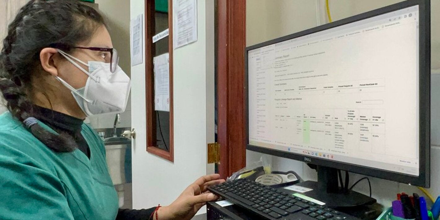 Mujer mirando información en computadora