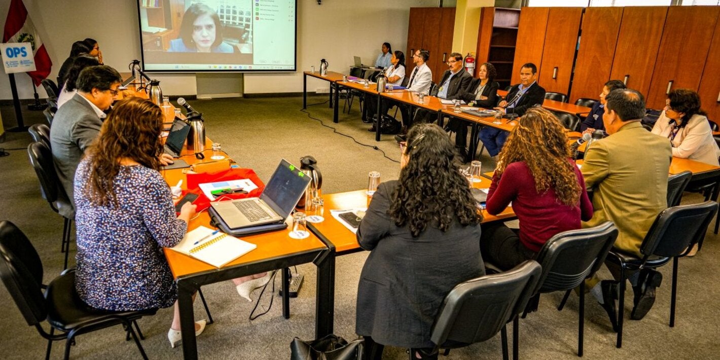Reunión de preparación para la COP11