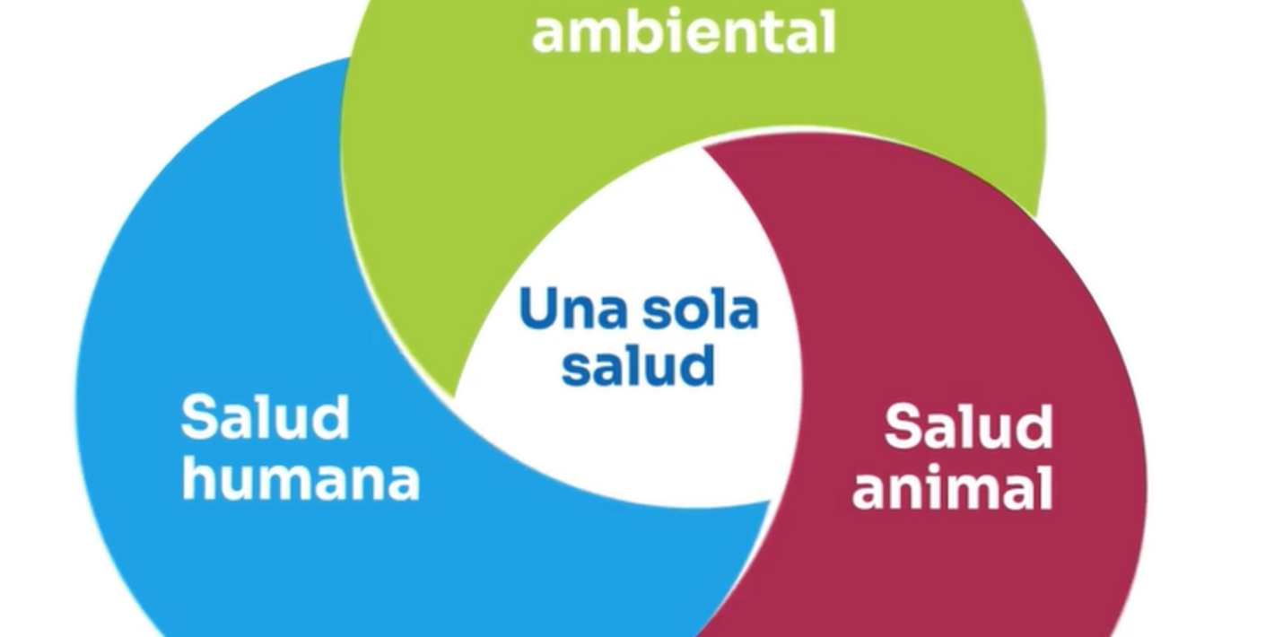 RAM una sola salud URY 
