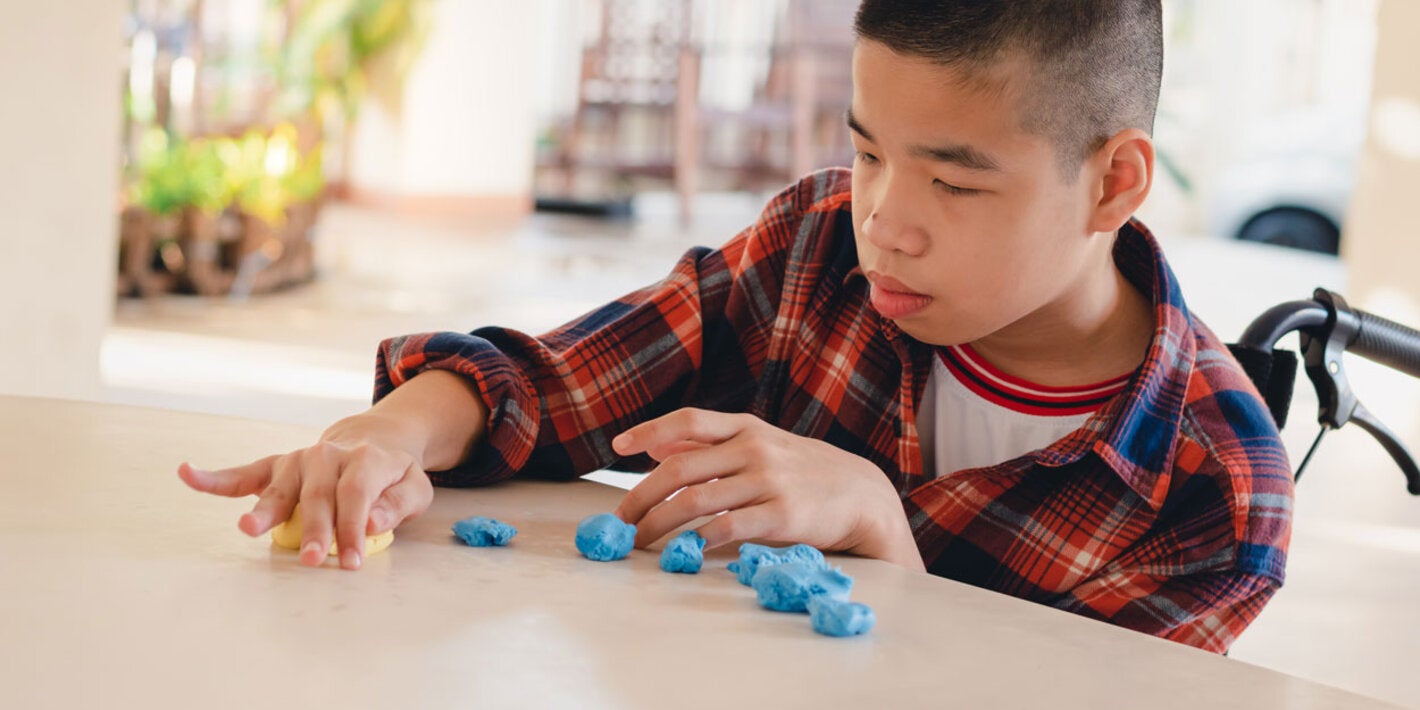 child with disabilities