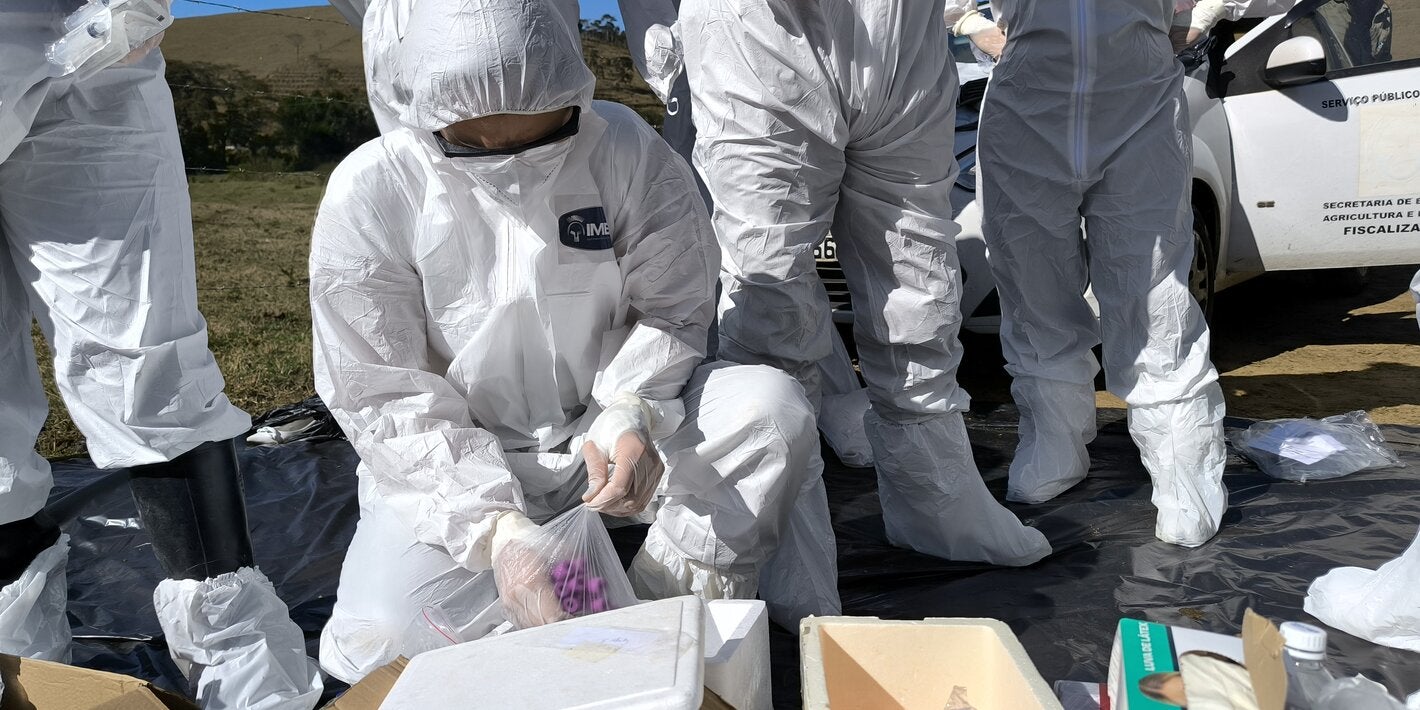 personal de los servicios veterinarios oficiales paramentados en un simulacro de fiebre aftosa