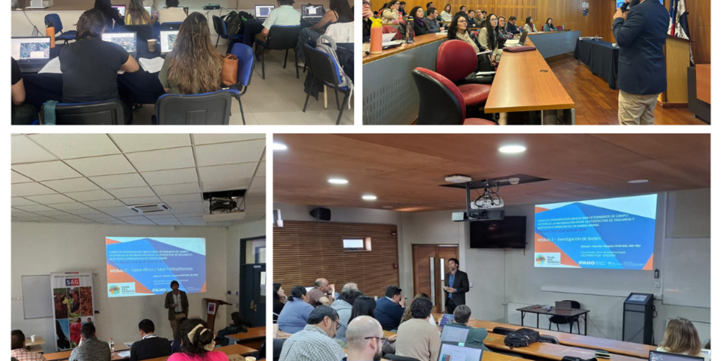 profesionales de salud animal, veterinaria y ambiente de Chile participando de capacitación impartida por técnicos de PANAFTOSA en epidemiología aplicada en distintas regiones del país