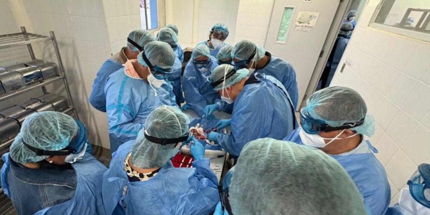 Taller de fortalecimiento de la vigilancia epidemiológica ante amenazas infecciosas emergentes como la fiebre amarilla