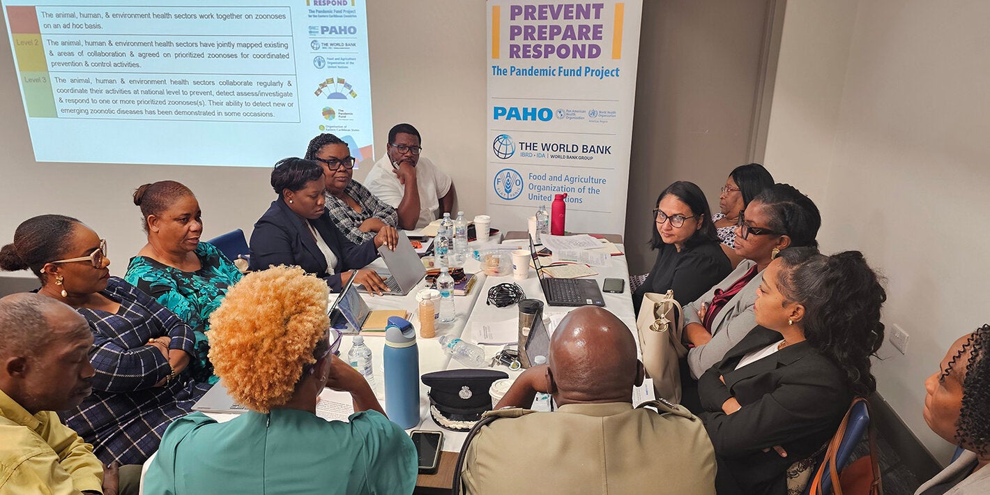 Participants at a workshop