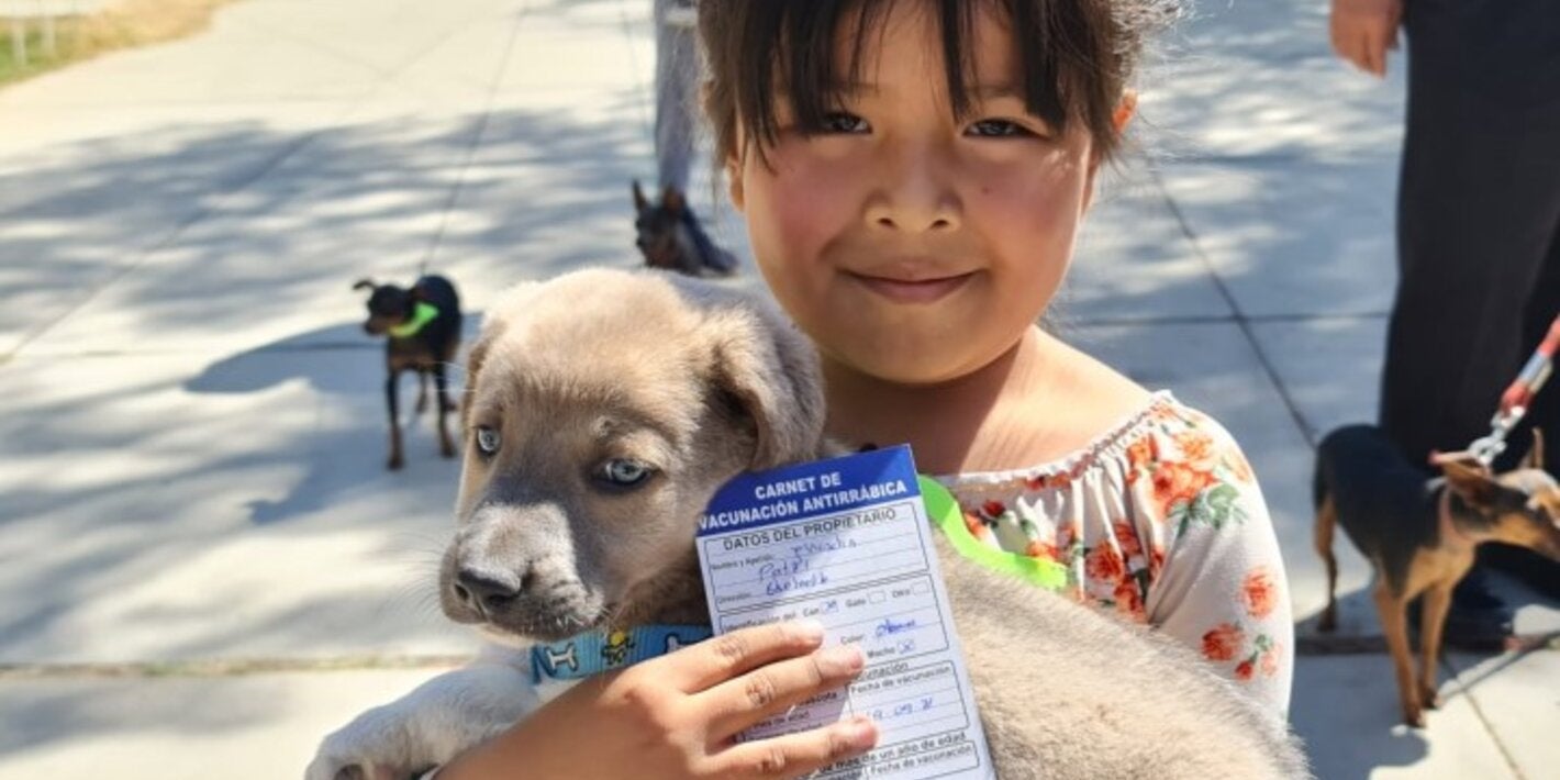 campaña rabia bolivia 2023