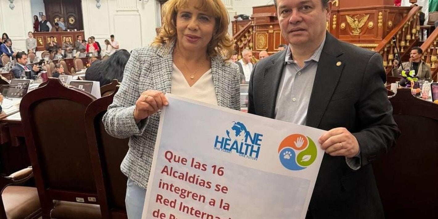 Judith Vanegas Tapia presentó el 3 de marzo un punto de acuerdo en la Sesión Ordinaria de la III Legislatura del Congreso de la Ciudad de México para invitar a las alcaldías a sumarse al Movimiento de Municipios Saludables