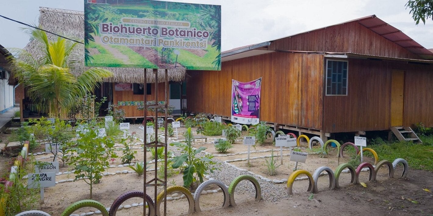 Biohuerto de medicina tradicional en un hospital intercultural en Perú