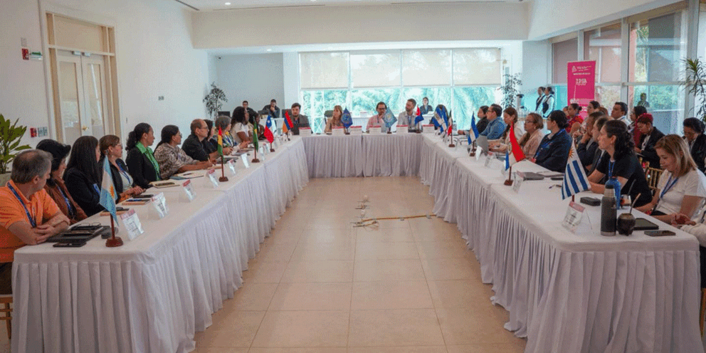 participantes de la 12 asamblea ordinaria de la RILAA, celebrada en Nicaragua, sentados en mesa en u, discutiendo los riesgos de la inocuidad alimentaria