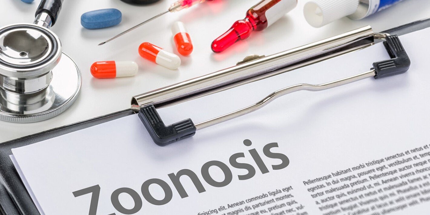 Zoonosis written on a clipboard