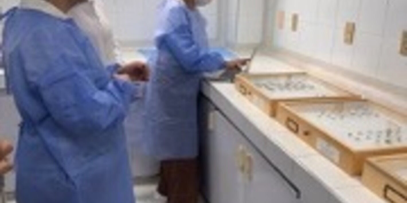 personas en un laboratorio