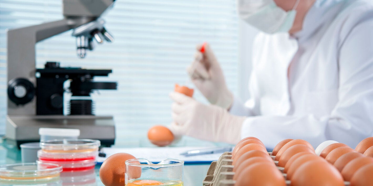 técnica de alimentos en laboratorio