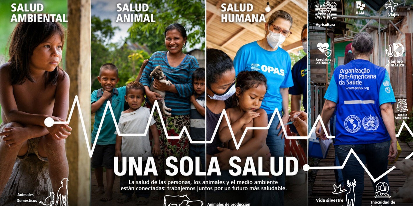 Imágenes que representan el enfoque Una Sola Salud, a través de la salud ambiental, la salud animal y la salud humana