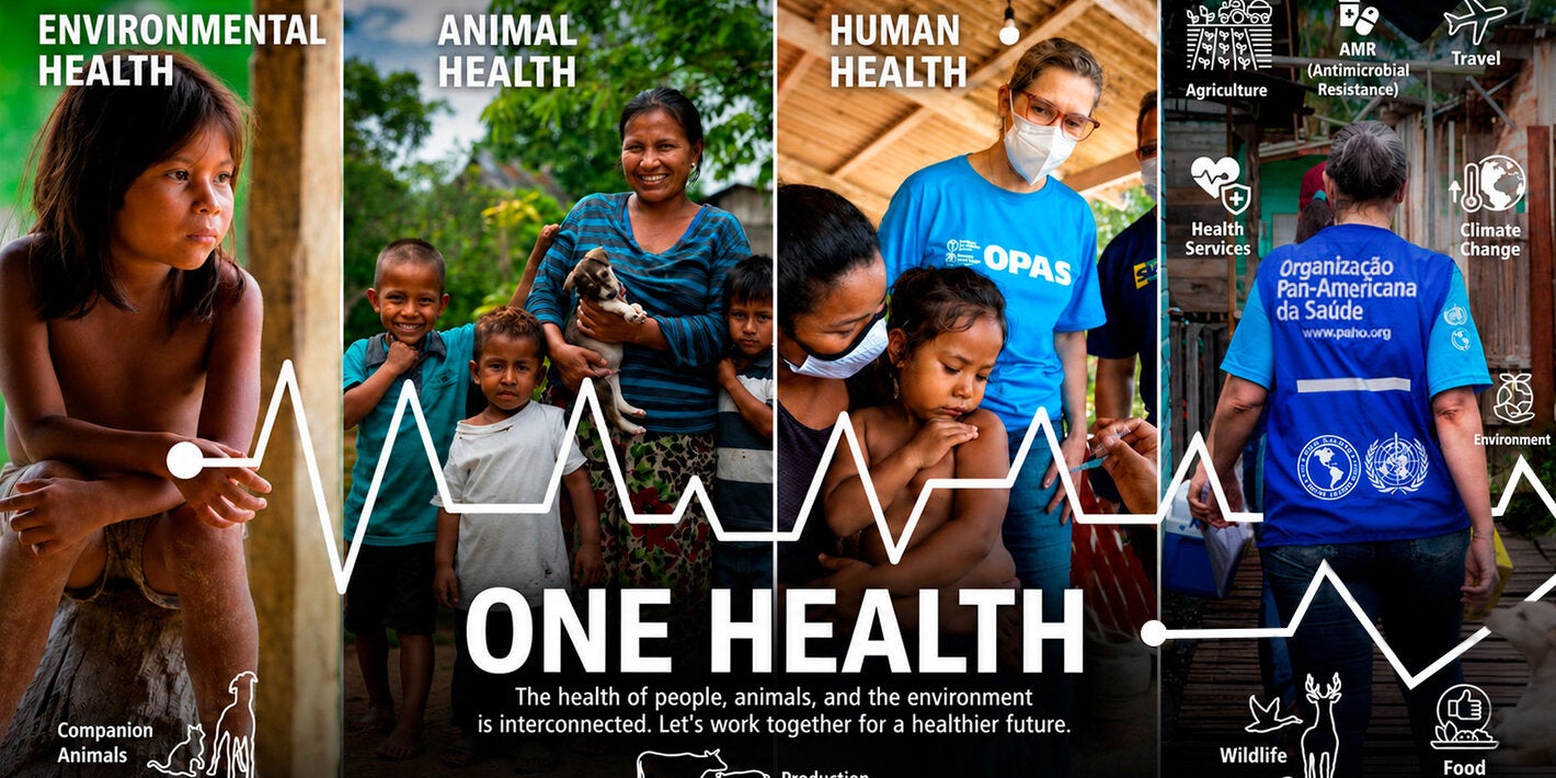 Imágenes que representan el enfoque Una Sola Salud, a través de la salud ambiental, la salud animal y la salud humana