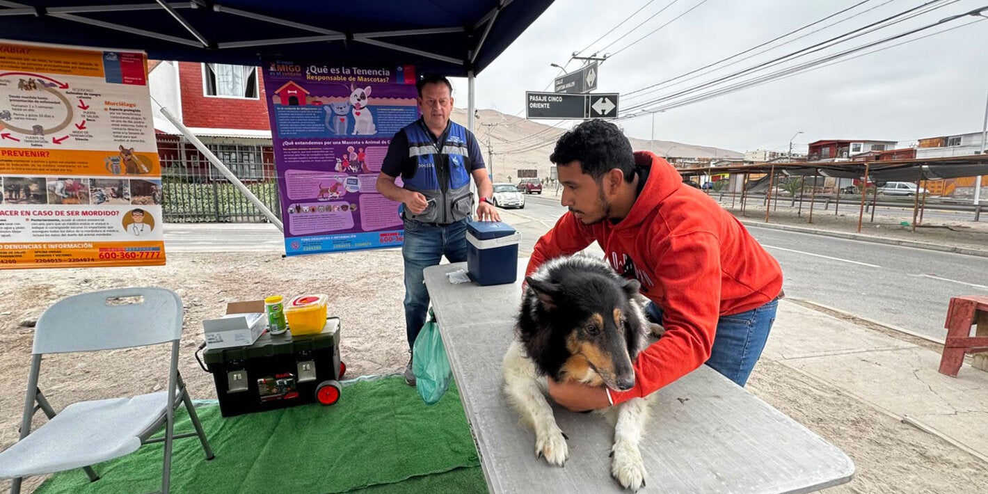 Dog vaccination has been one of Chile's key tools for interrupting rabies transmission and protecting people against the disease.