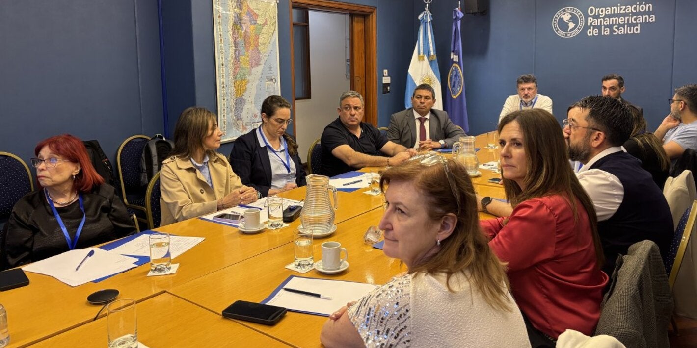 Participants in the workshop  during a working session at the PAHO office in Buenos Aires.