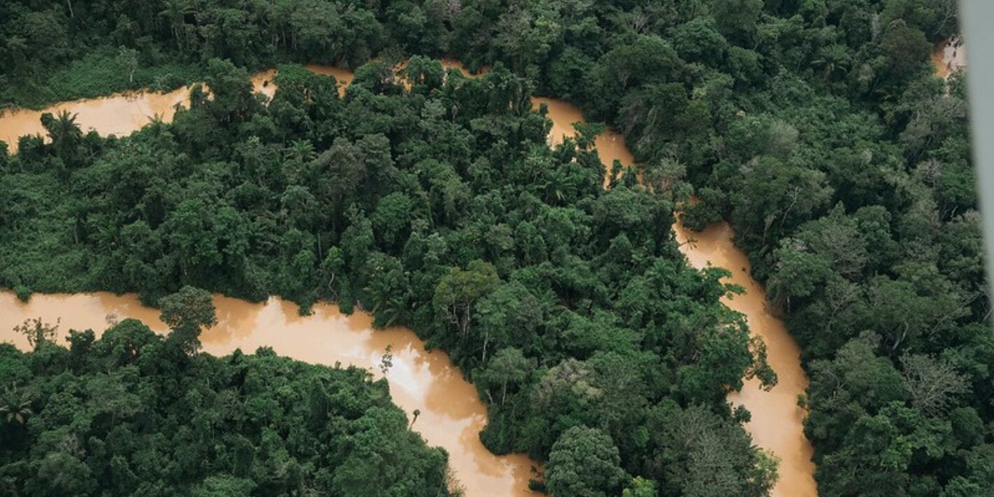 Suriname selvatic area