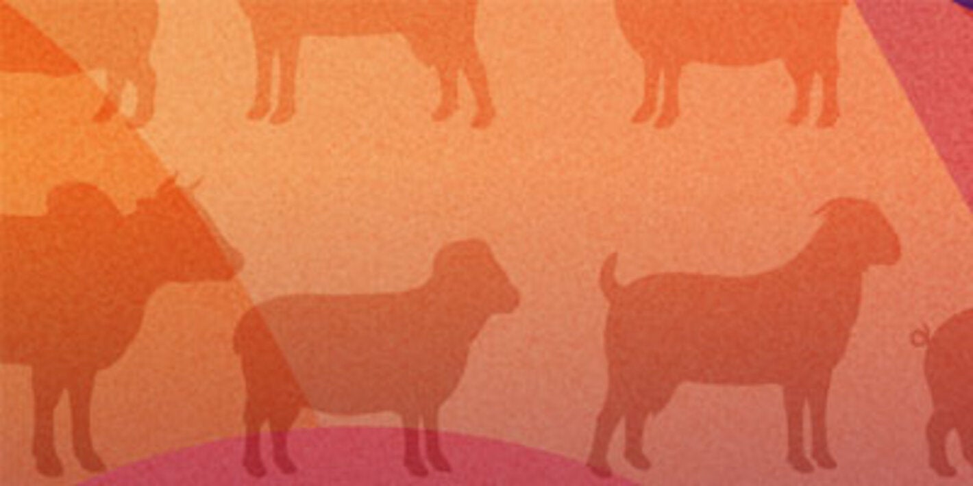 Procedures manual for responding to suspected cases of foot-and-mouth disease and other vesicular diseases