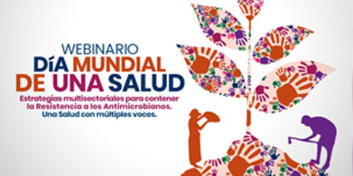 Webinario: Día Mundial de Una Salud. Estrategias