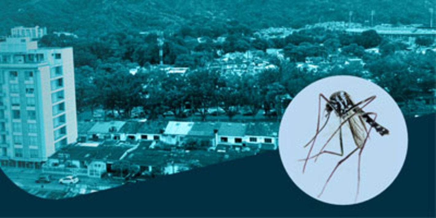 Orientações técnicas para a vigilância entomológica e o controle de vetores da febre amarela