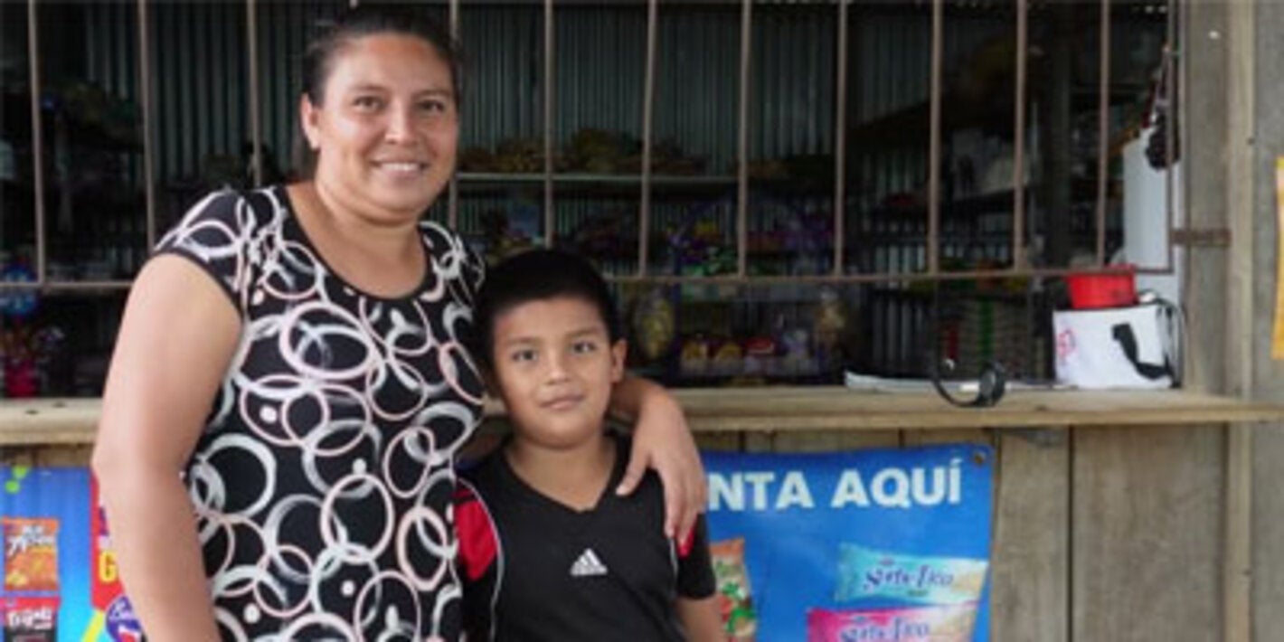 Webinar on the Plan of Action for Malaria Elimination in the Americas 2026–2030