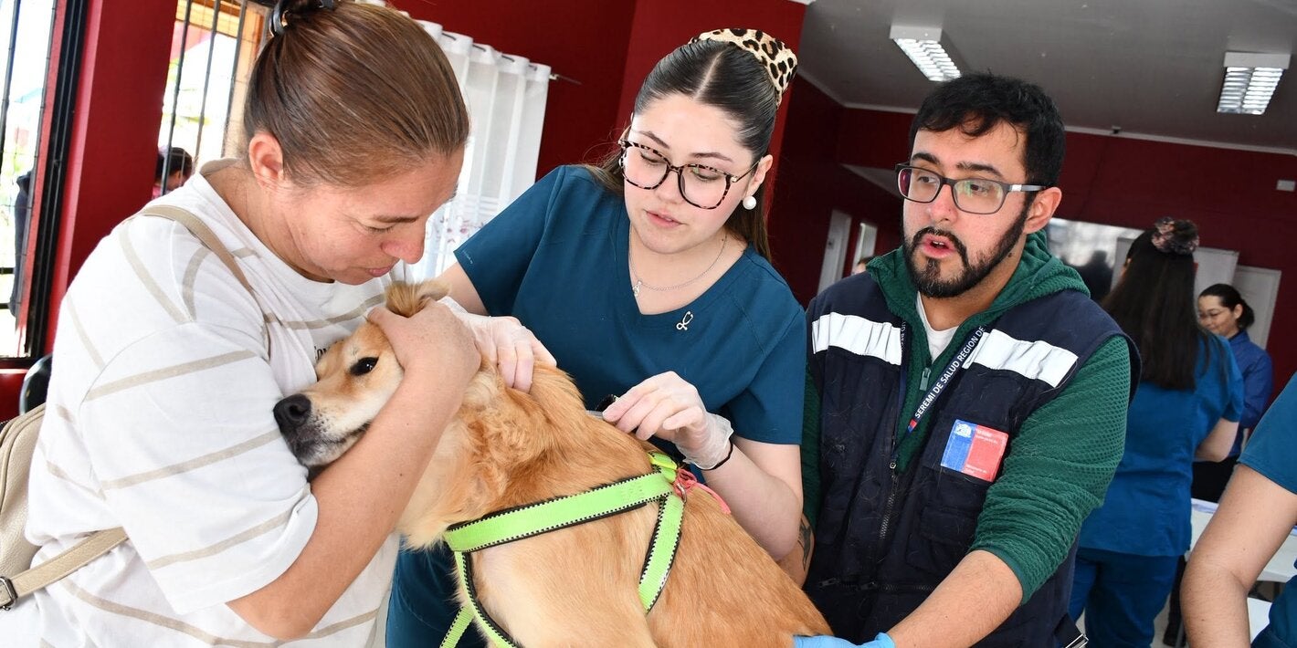 ""técnicos de SEREMI vacunando perro contra la rabia