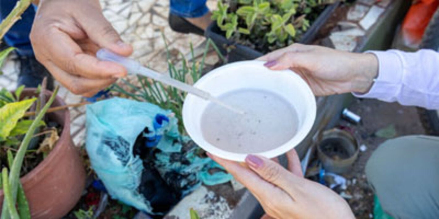 OPS insta a reforzar la vigilancia y preparación ante aumentos de dengue y chikungunya en las Américas