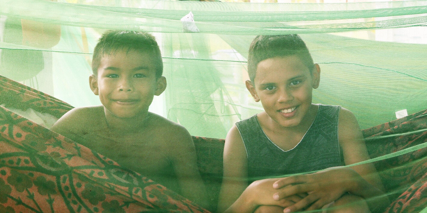 Countries of the Americas. Champions in the fight against malaria