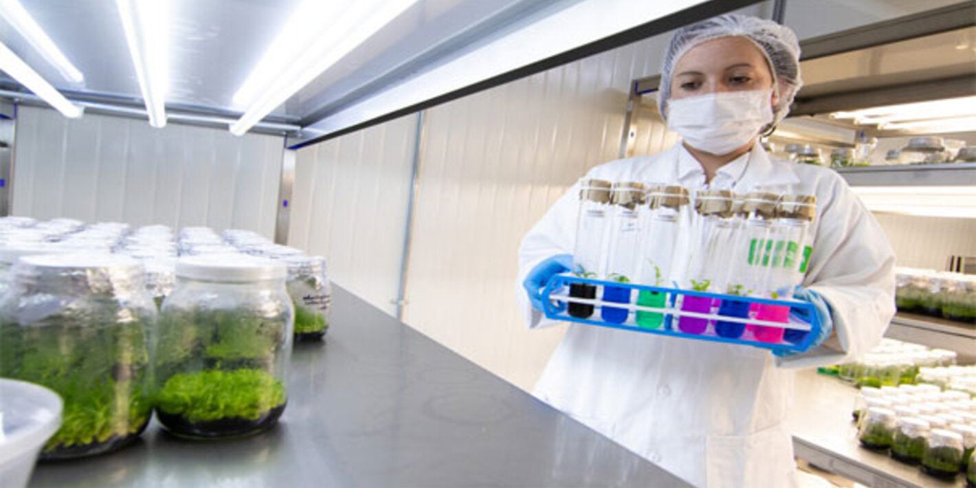 bacteriologa con tubos de ensayo