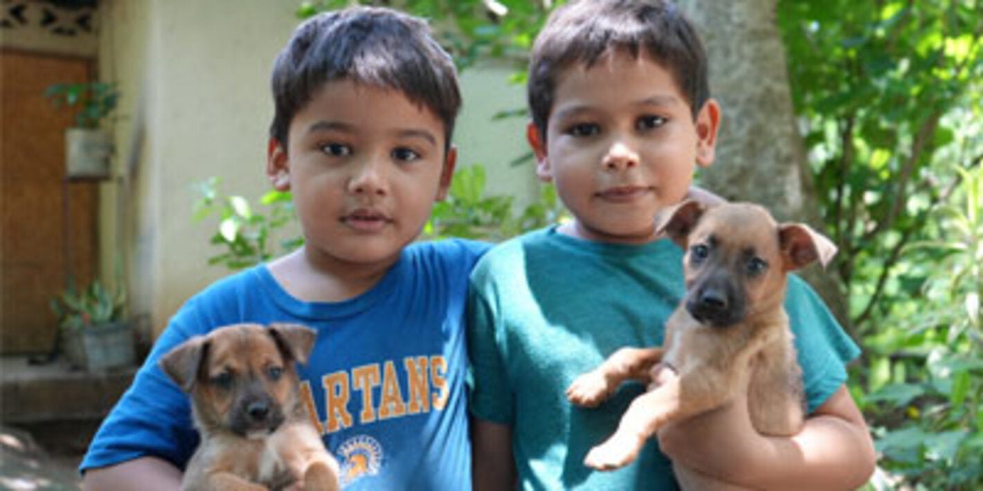 Focus study and training in leishmaniasis surveillance conducted in Guanacaste, Costa Rica