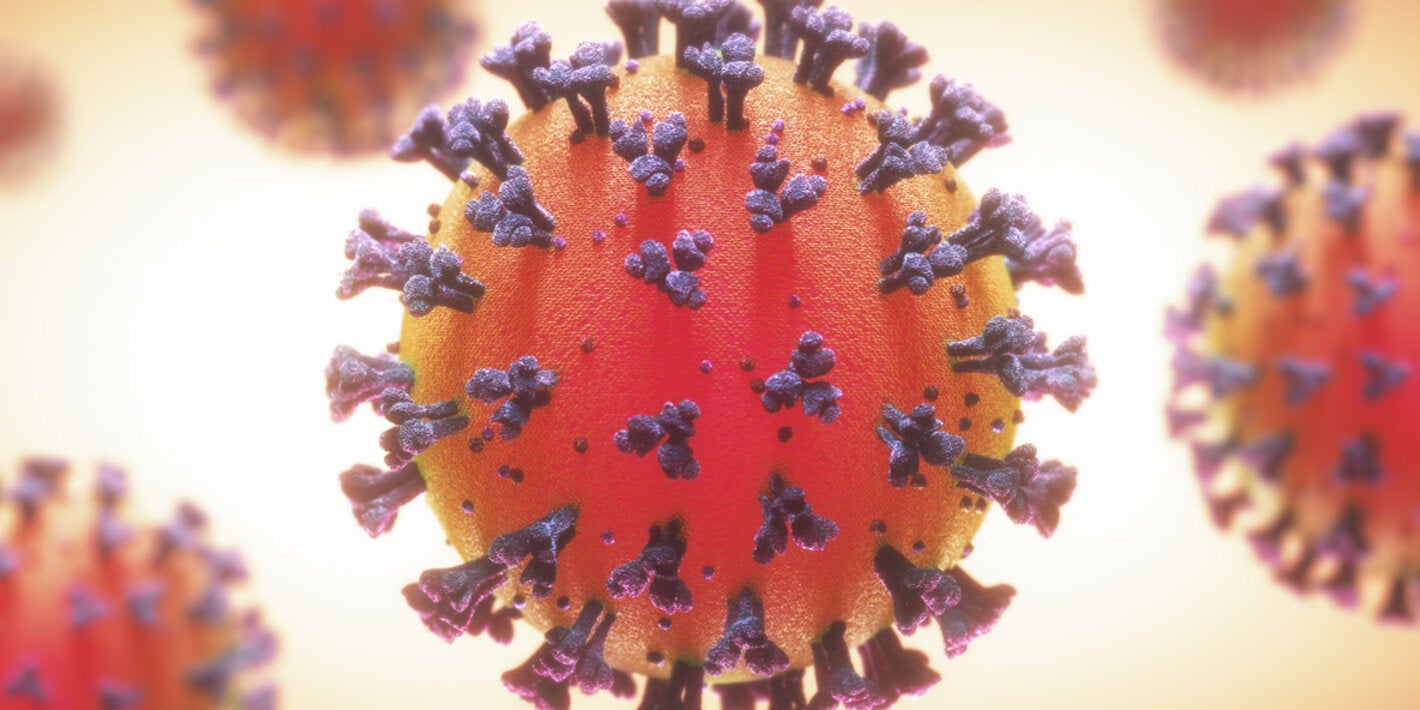 coronavirus