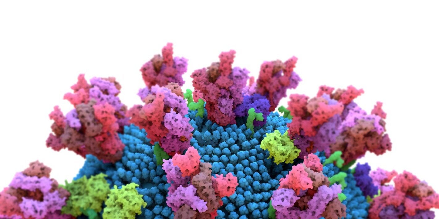  Ilustración de un modelo molecular del virus SARS-CoV-2