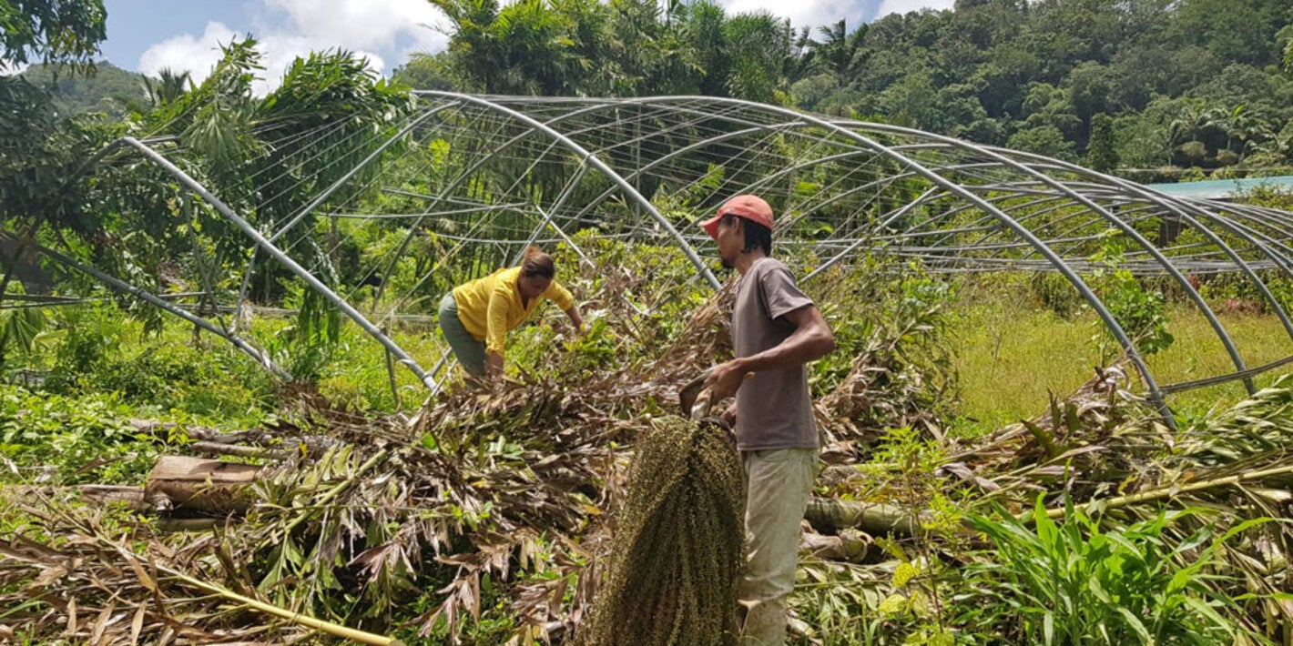 Farming in Saint Lucia