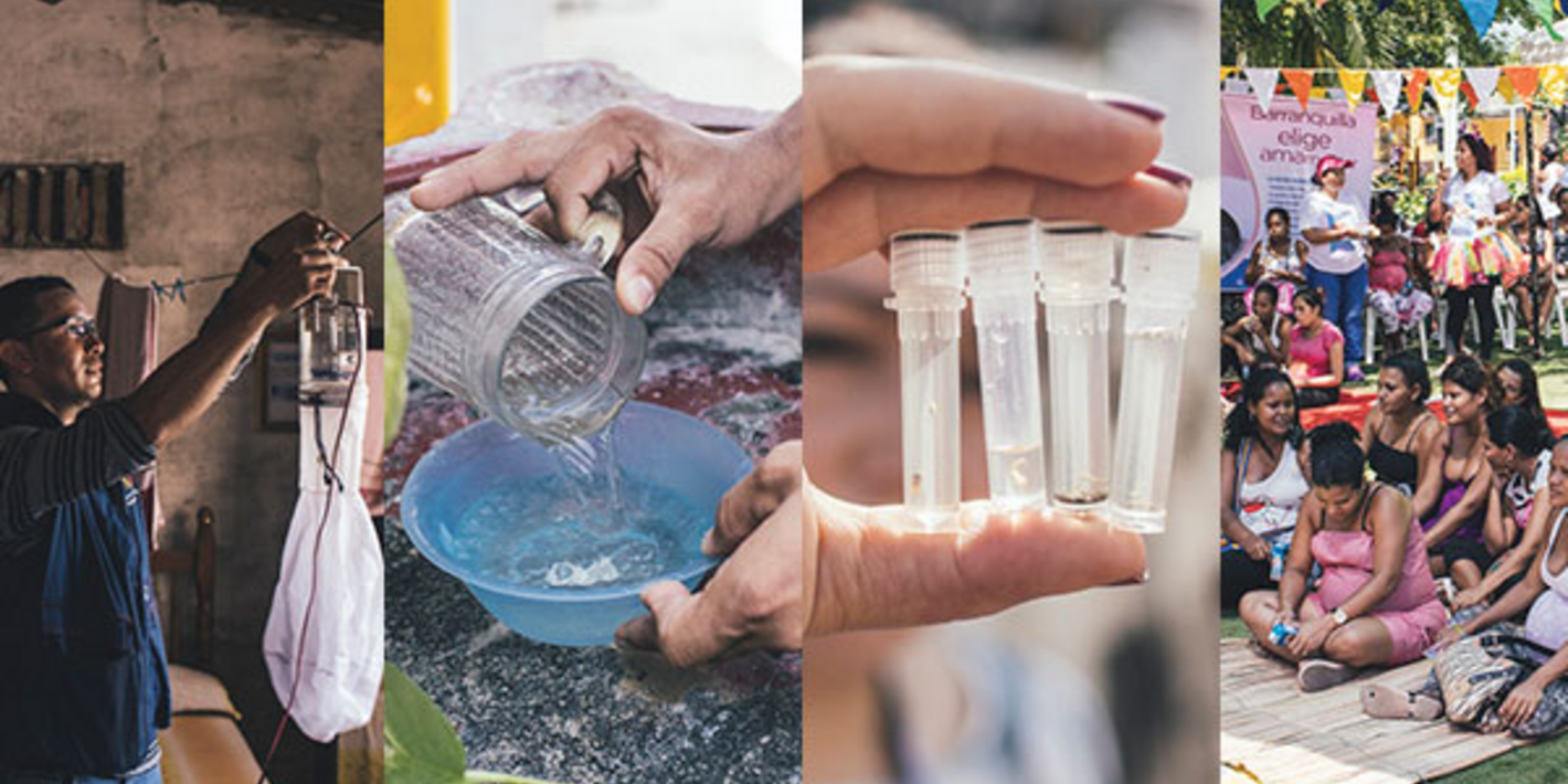 10 vector-borne diseases that put the population of the Americas at risk