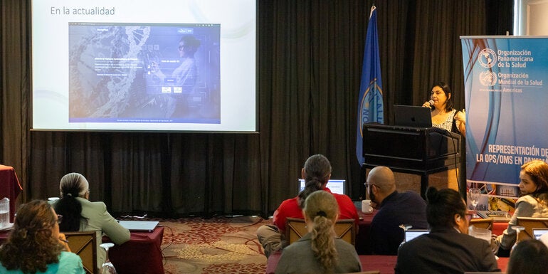 SISVIG-POWERBI-PAN-2023-JPG