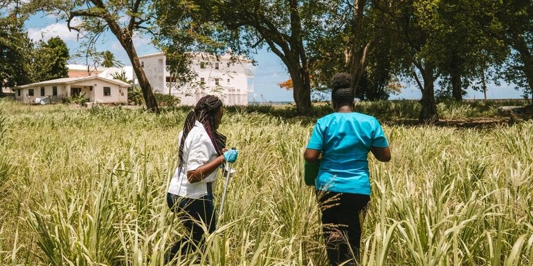 Climate Change and Health - PAHO/WHO | Pan American Health Organization