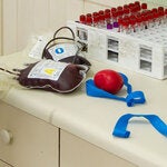 Manipulación de una bolsa de sangre y tubos de muestras