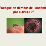 Dengue y Covid-19