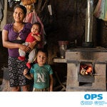 Vulnerabilidad a COVID-19 en poblaciones rurales y peri-urbanas de México por el uso doméstico de leña