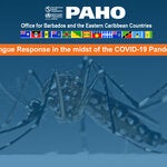 Flyer for Dengue  Webinar