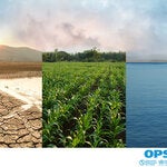 Cambio Climático y Salud en las Américas