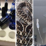 Webinario: Antídotos y Antivenenos. Perspectivas para la colaboración regional