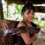 Malaria Day in the Americas 2021