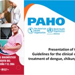 Presentation of the  Guidelines for the clinical diagnosis and treatment of dengue, chikungunya, and Zika
