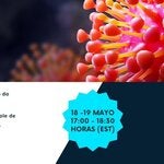 Padrões de qualidade e uso correto dos equipamentos de proteção individual