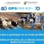 Ronda de webinars sobre brucelosis