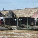 Webinario: Exposición ambiental al mercurio y efectos sobre la salud en Latinoamérica y Caribe