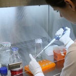 Aceptando aplicaciones: Investigaciones operativas para apoyar la eliminación de enfermedades transmisibles en América Latina y el Caribe