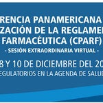 X Conferencia Red PARF