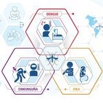 Definiciones de caso, clasificación clínica y fases de la enfermedad Dengue, Chikunguña y Zika